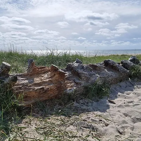 8 Person In Ferienhaus *